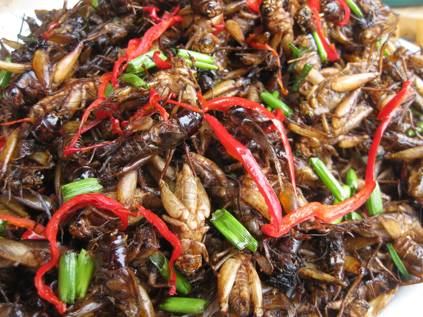 a pile of crickets