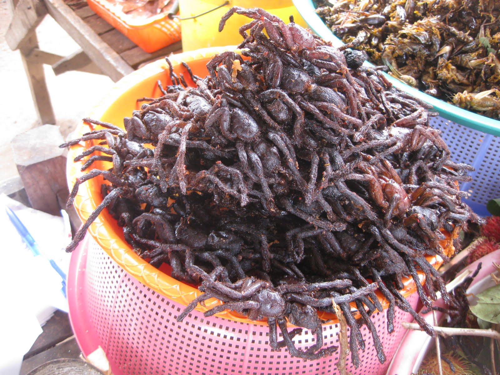 a pile of tarantulas